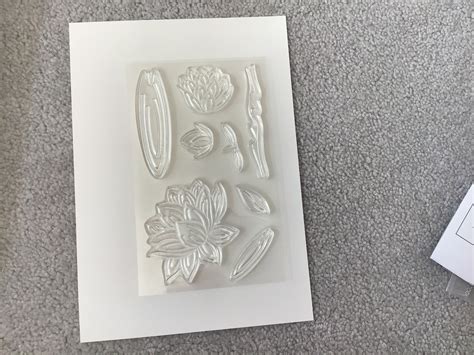 Stampin Up New Lovely Lily Pad And Dies Retired Set Of 8 Photopolymer Etsy