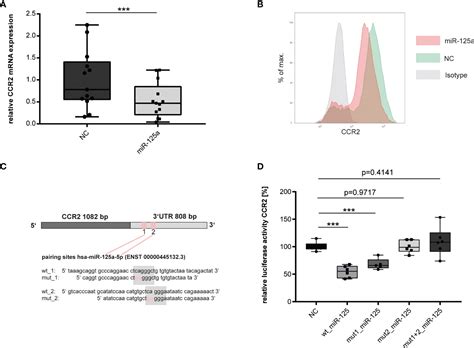 Frontiers Cell Crossing Functional Network Driven By Microrna 125a