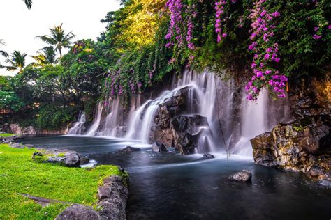 Peinture murale Cascade Hawaïenne Tappy fr