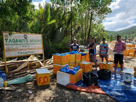 Gamawa Fishermen Release 20k Bangus Fingerlings— Nickel Asia Corporation