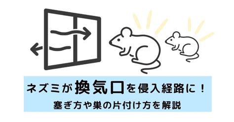 ネズミは換気口を侵入経路にしやすい！塞ぎ方や巣の片付け方を解説 駆除plus 害獣駆除のプロが解説するお役立ち情報サイト