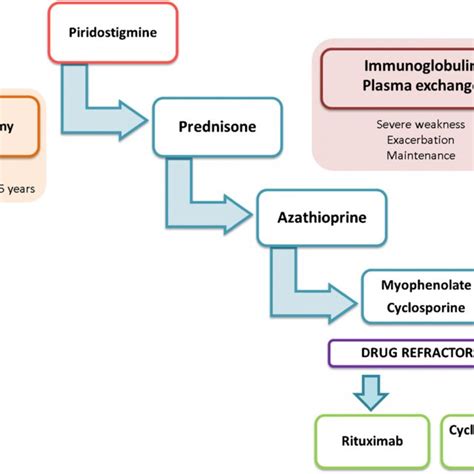 Myasthenia Gravis Treatment Updates | Request PDF