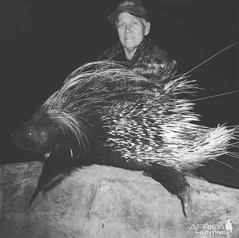 African Porcupine Hunting South Africa | AfricaHunting.com