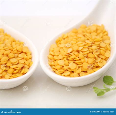 Yellow Lentils Stock Photo Image Of Dried Spoon Vitamins 37193068