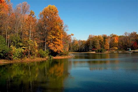 Fall Lake Scene stock image. Image of rural, cover, countryside - 3549349