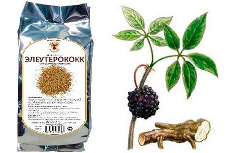 Где Купить Женьшень Корень В Аптеке — Lekarnya-tut.ru