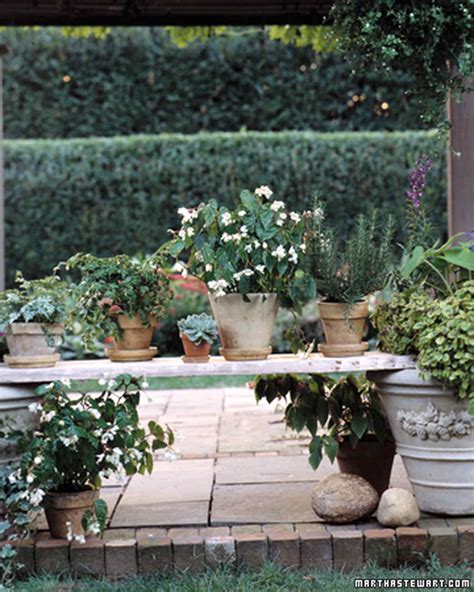 60 Great Ideas for the Garden | Martha Stewart