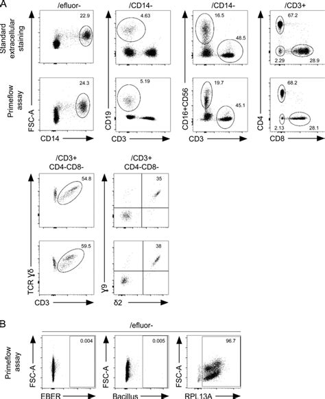 Conservation Of Extracellular Staining In PrimeFlow EBER Assay