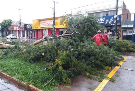 Chuva Derruba Rvore Na Marcelino Pires E Provoca Alagamentos Em