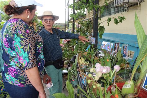 Inicia Feria Para La Flor Del Esp Ritu Santo En Las Minas Critica