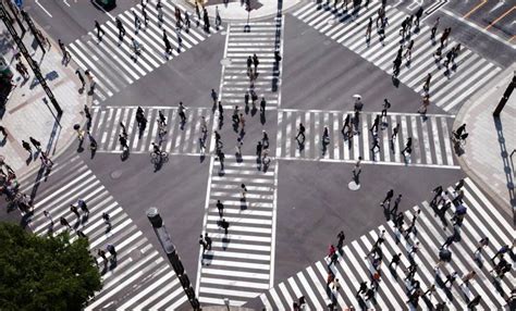 Closer Look At Zebra Crossing - Spot Dem