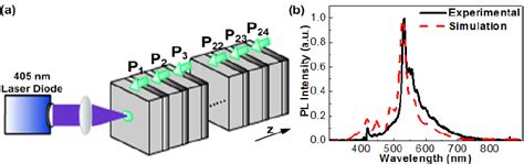 (a) The schematic diagram of PL simulation. (b) The experimental and... | Download Scientific ...