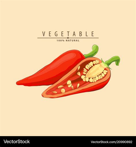 Hot Chilli Pepper Royalty Free Vector Image Vectorstock