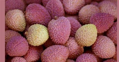 Litchi Benefits Will Save From Dehydration In Summer गर्मियों में