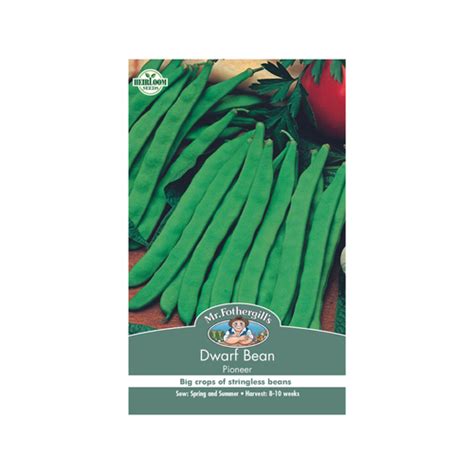 Mr Fothergill S Seed Dwarf Bean Pioneer Bunnings New Zealand