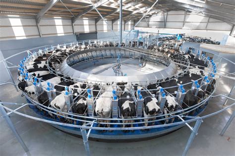 Dairymaster Swiftflo Rotary Parlour Farm Compare Farm Compare