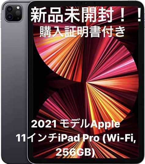 256gb Ipad 2021 11インチ Pro Sv Cellularモデル