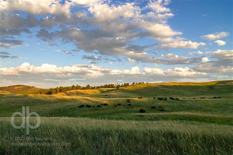 Prairie Shadows – Dan Bourque Photography