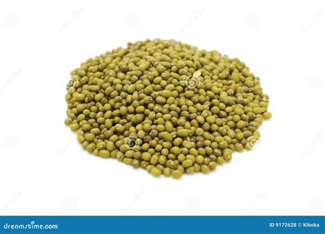 Green Gram Stock Photo Image Of Green Golden Healthy 9172628