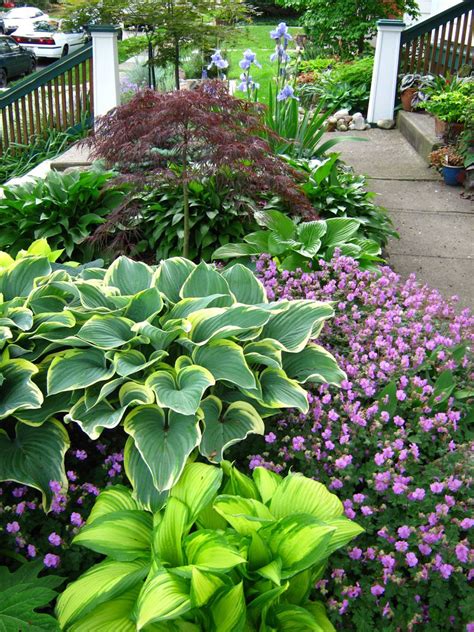 Hosta Gardens on Pinterest | Hosta Plants, Shade Garden and Shade Plants