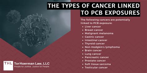 PCBs And Cancer Are PCBs Carcinogenic 2024 Guide