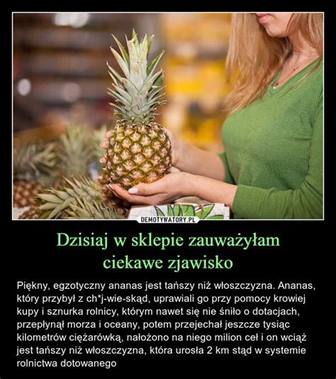 Dzisiaj w sklepie zauważyłam ciekawe zjawisko Demotywatory pl