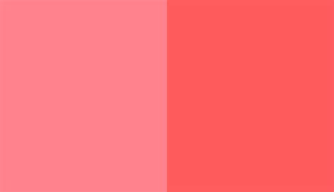 Color Pantone 193 C Vs Pantone 485 C Side By Side