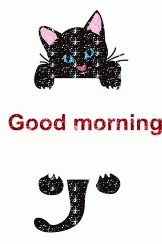 Good Morning Cat GIF - Good Morning Cat - Discover & Share GIFs