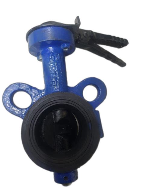 Ci Butterfly Valve At Rv Butterfly Valve In Jalandhar Id