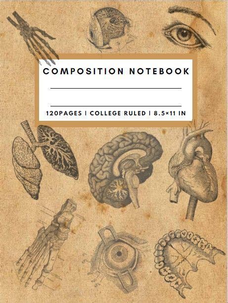 Composition Notebook College Ruled Vintage Anatomy Illustration