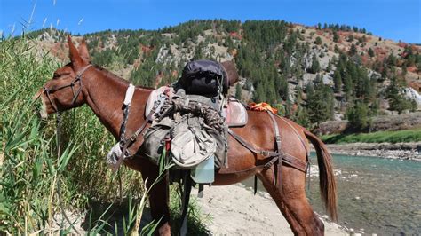 Alpine, Wyoming Arrival - RiverEarth.com