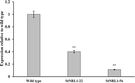 Frontiers Crisprcas Stnrl1 Gene Knockout Increases Resistance To Late Blight And