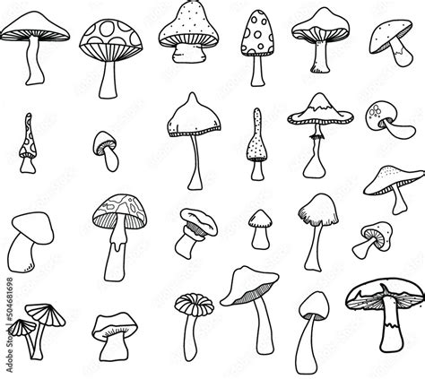 hand drawn mushroom doodle art style Stock Vector | Adobe Stock