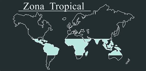 Opiniones de zona tropical