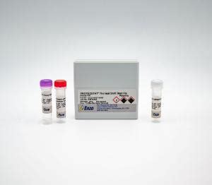 Proteostat Thermal Shift Stability Assay Kit Vwr