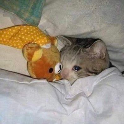 Meowriza Ass On Twitter PoundPoundCake The Shoes Twitter