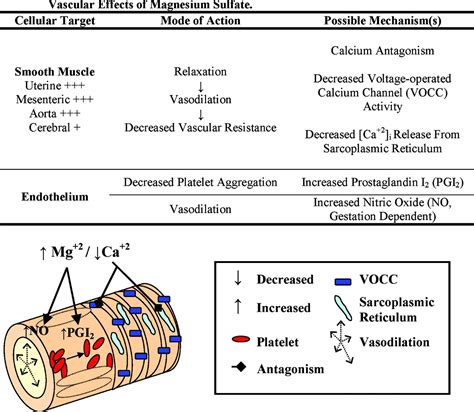 Magnesium Sulfate For The Treatment Of Eclampsia Stroke