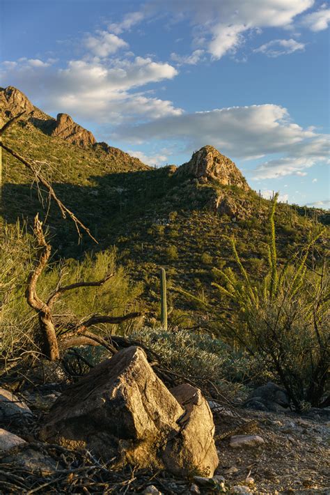 pusch ridge wilderness | Hike Lemmon!