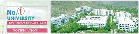 Pacific University Udaipur Top Collegeuniversity In Rajasthan India