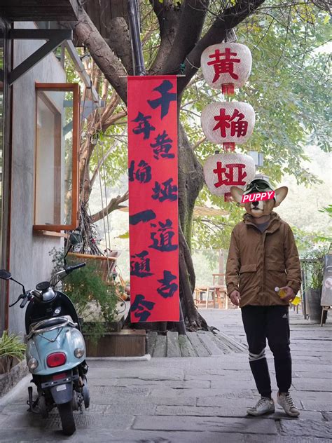 #Chongqing | Sanmao Cafe at Nanshan | Gallery posted by Nikki | Lemon8 