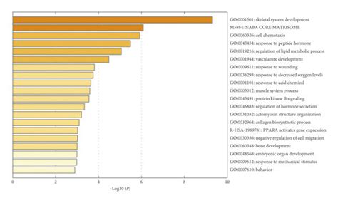 A B Heat Map Of Enriched Terms Across Input Gene Lists Colored By P