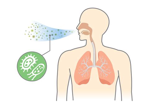 What Is Pneumonia Lstm