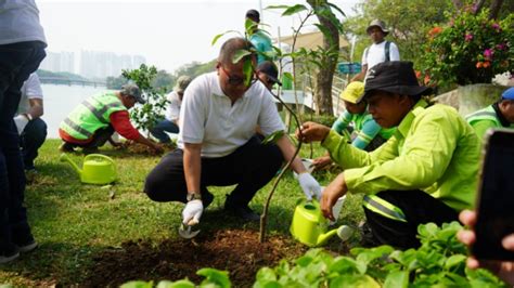 AP1 Dukung Pelestarian Lingkungan Tanam Ratusan Bibit Pohon Di Hutan