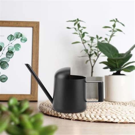 Arrosoir en acier inoxydable noir mignon et mini plantes d intérieur en