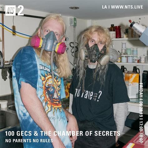 100 Gecs 100 Gecs The Chamber Of Secrets Lyrics And Tracklist Genius