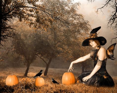 🔥 [50+] Halloween Witch Wallpapers Desktop | WallpaperSafari