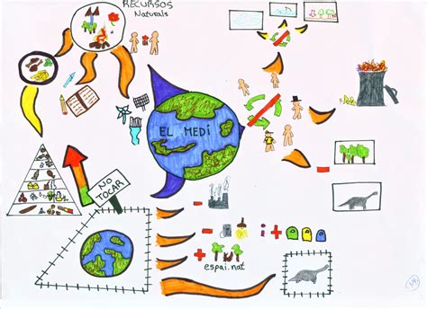 El Blog De B Els Escacs Mapa Mental Del Medi Ambient