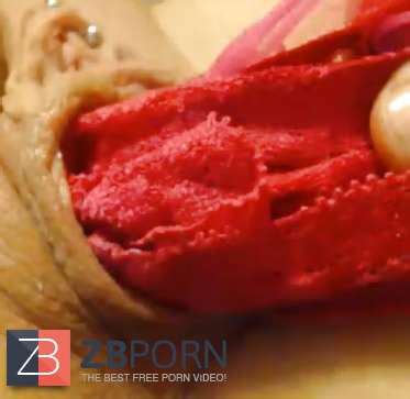 Rapid Showcases ZB Porn