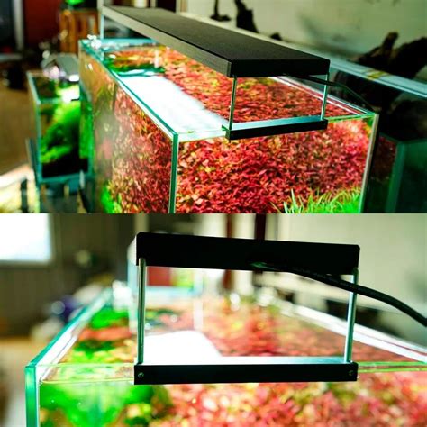 Светильник Chihiros WRGB 2 PRO 120 — AQUA CREATIV г. Москва