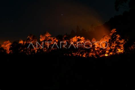 Kebakaran Hutan Lereng Gunung Sipiso Piso Antara Foto